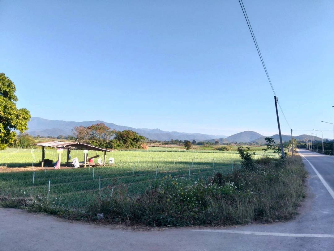 Land For Sale รูป 2
