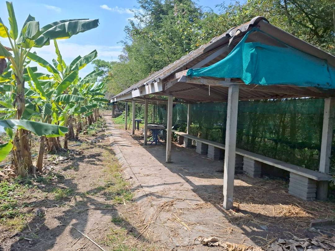 Land For Sale รูป 5
