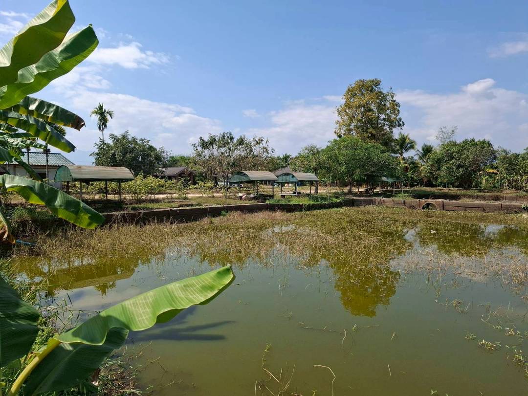 Land For Sale รูป 6