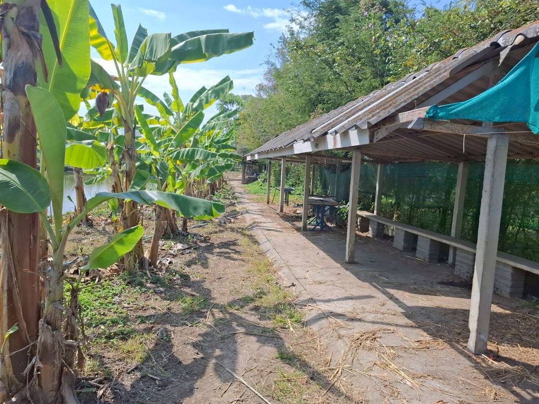 Land For Sale รูป 3
