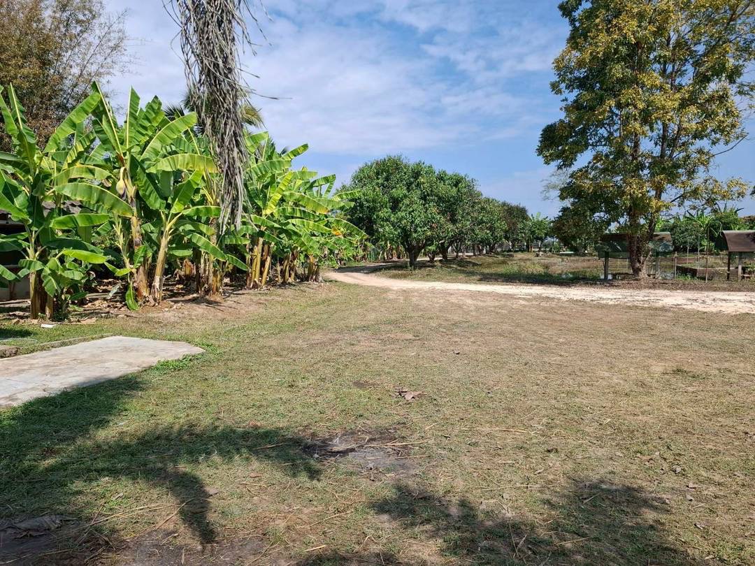 Land For Sale รูป 2
