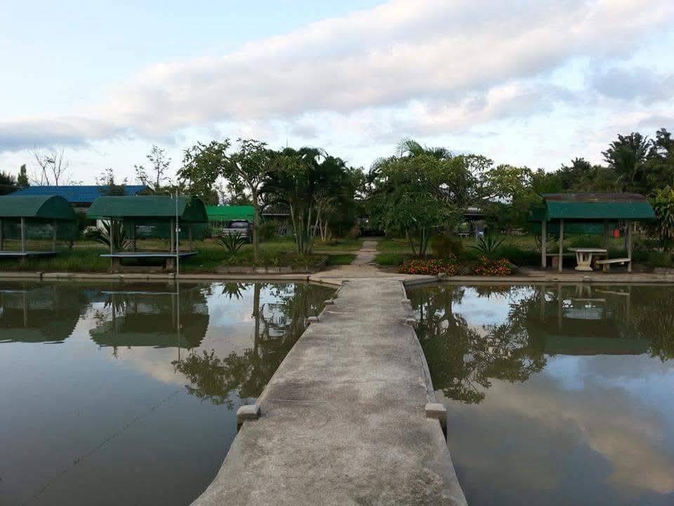 Land For Sale รูป 7