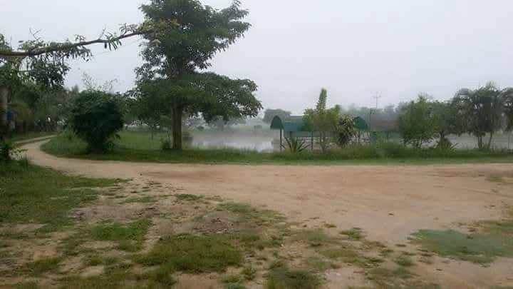 Land For Sale รูป 8